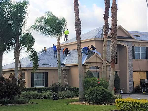 Roof Replacement Project